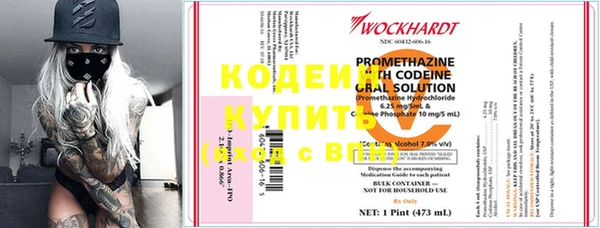 прущие грибы Наволоки