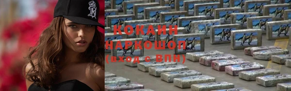 прущие грибы Наволоки
