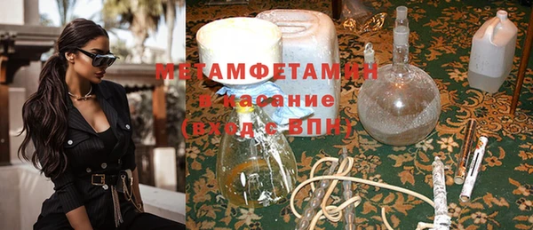 прущие грибы Наволоки