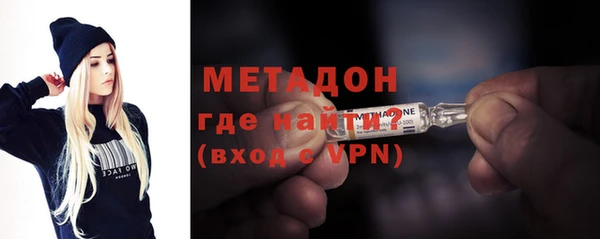 прущие грибы Наволоки