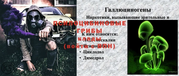 шишки Сафоново