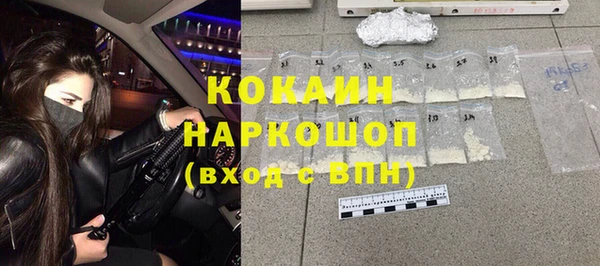 прущие грибы Наволоки
