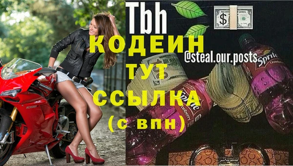 прущие грибы Наволоки