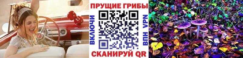 Псилоцибиновые грибы Cubensis  Белгород 